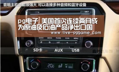 pg电子模拟器