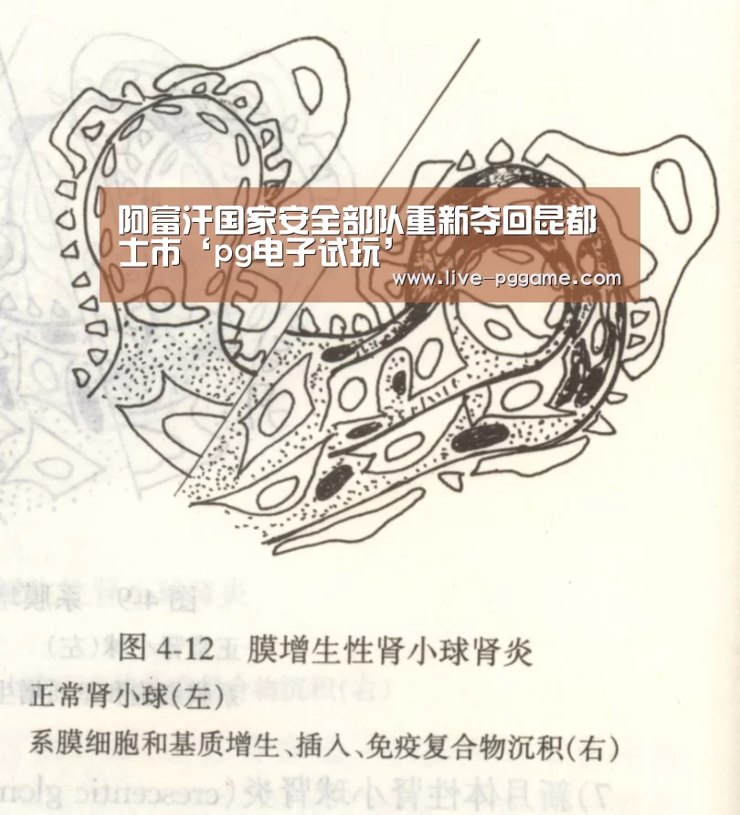 pg电子模拟器