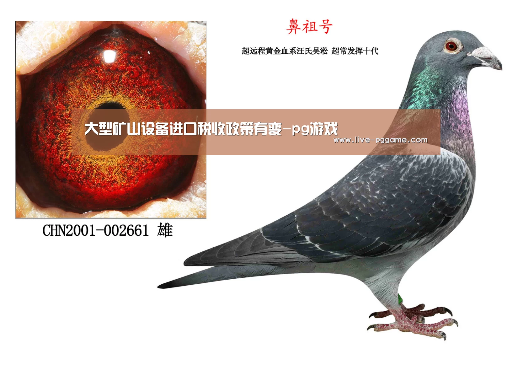 pg电子试玩