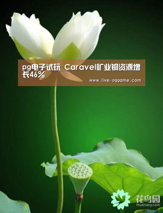 pg游戏