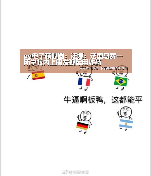 pg电子模拟器:法媒:法国马赛一所学校内上周发现军用炸药(图1) pg电子
