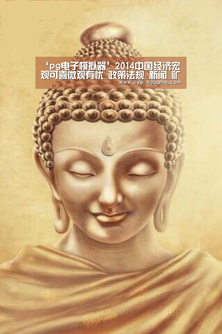 ‘pg电子模拟器’2014中国经济宏观可喜微观有忧_政策法规_新闻_矿道网(图1) pg电子试玩
