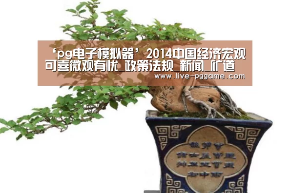 ‘pg电子模拟器’2014中国经济宏观可喜微观有忧_政策法规_新闻_矿道网(图3) pg电子试玩